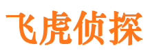 华龙私家调查公司